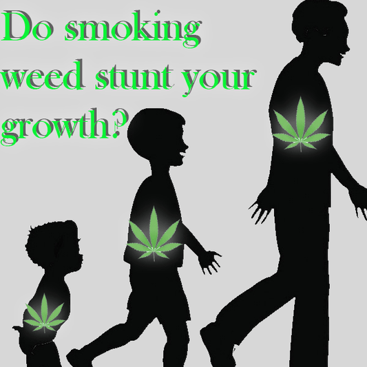 Answering Marijuana Related Questions from Google Enjoy