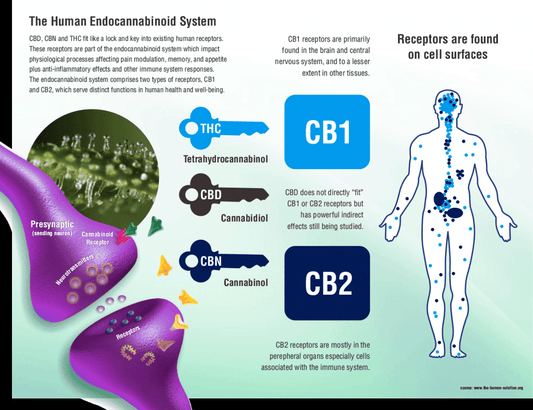 Cool Weed Facts & Mind Blowing Stoner Facts TTFU Enter