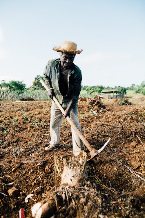 The Negative Impact of Seed Theft on Indigenous Communities