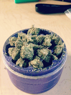 Cool Stoner Pictures & Gifs
