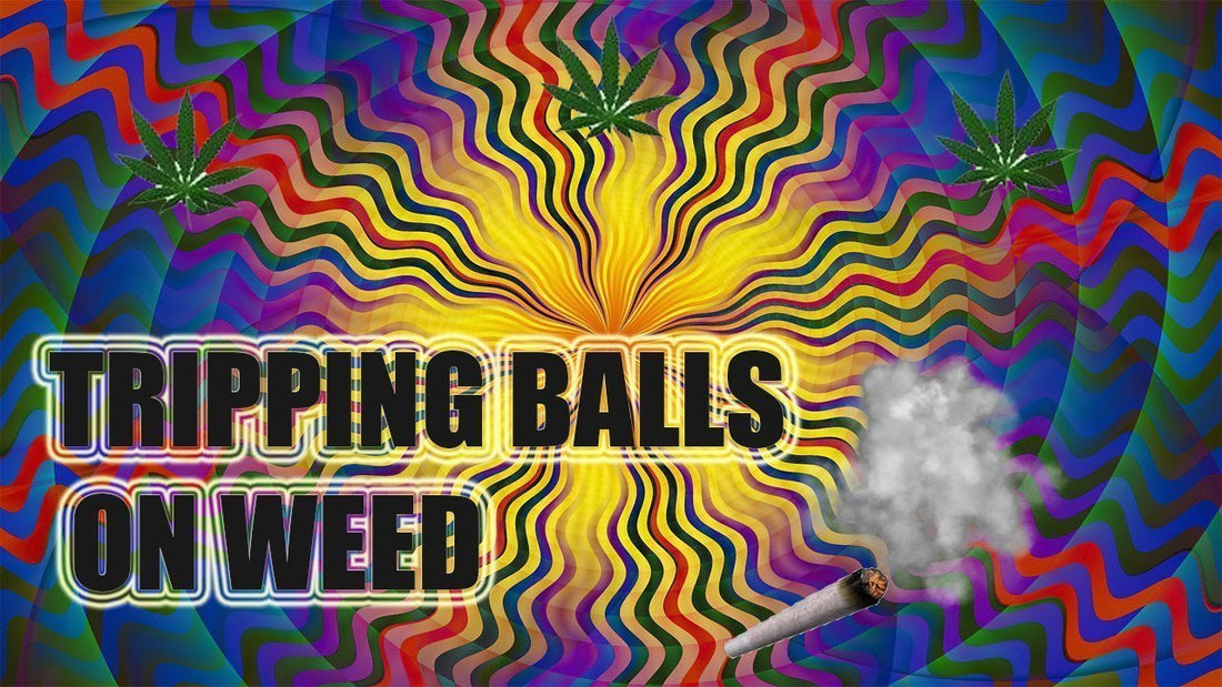Why Does Weed Make Me Trip? To See Why Enter Here