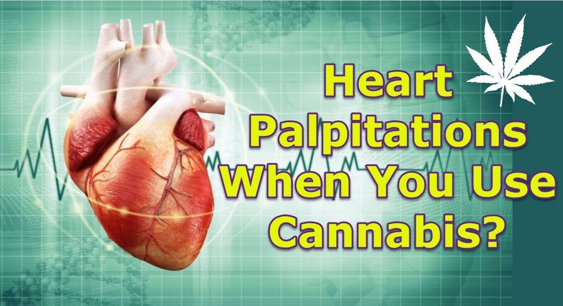 How Does Marijuana Affect Your Heart Rate & Blood Pressure