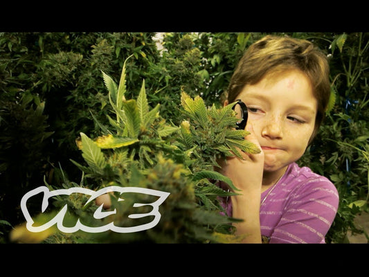 Weed The People, How Marijuana Is Helping Children Dealing With Cancer