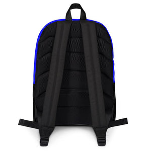 backpack with secret stash pocket